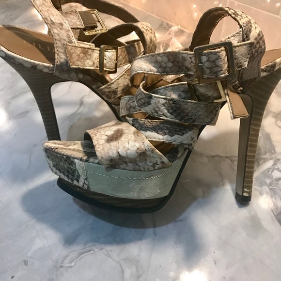 Hot🔥Hot🔥Hot Python Print Heels - Picture 3 of 7